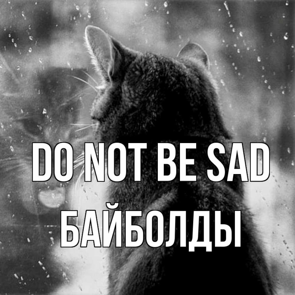 Greetings card с именем, Байболды Do not be sad отражение кота 1 Greetings with text for free download 