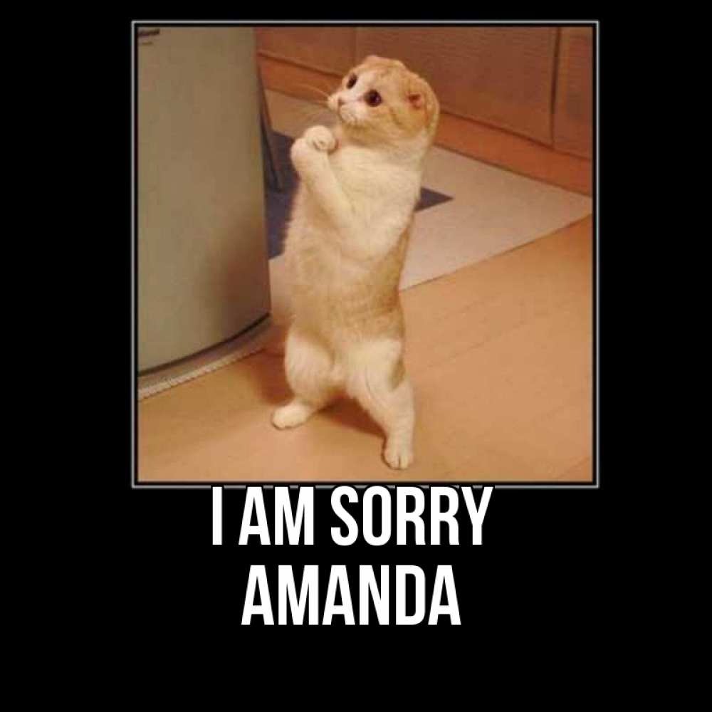 Greetings card с именем, Amanda I am sorry открытка с милым несчастным котиком просящим прощения Greetings with text for free download 
