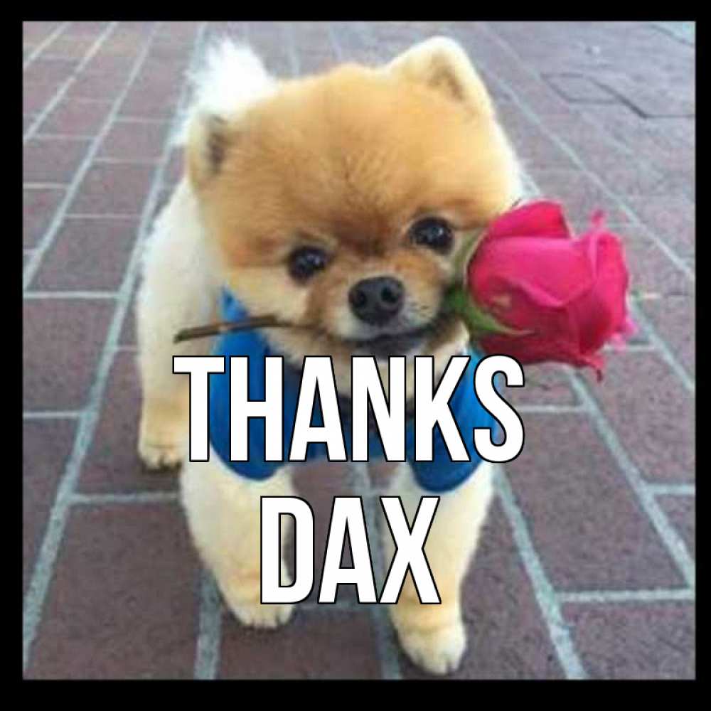 Greetings card с именем, Dax Thanks спасибо и дарю тебе цветок Greetings with text for free download 