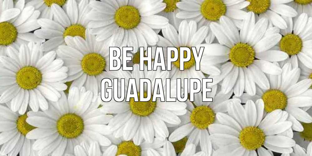 Greetings card с именем, Guadalupe Be happy поляна ромашек Greetings with text for free download 