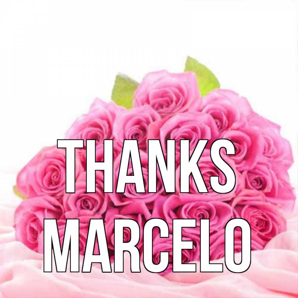Greetings card с именем, Marcelo Thanks розовые розы с подписью Greetings with text for free download 