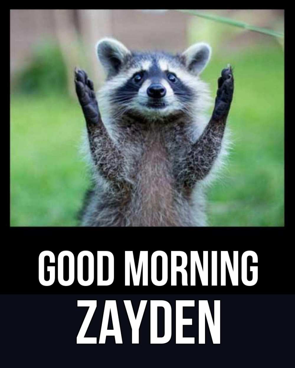 Greetings card с именем, Zayden Good morning хорошее настроение утречком Greetings with text for free download 