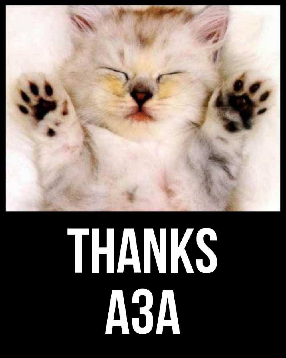 Greetings card с именем, АЗА Thanks маленький котенок Greetings with text for free download 
