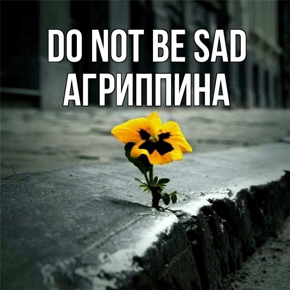 Greetings card с именем, Агриппина Do not be sad не сдавайся Greetings with text for free download 