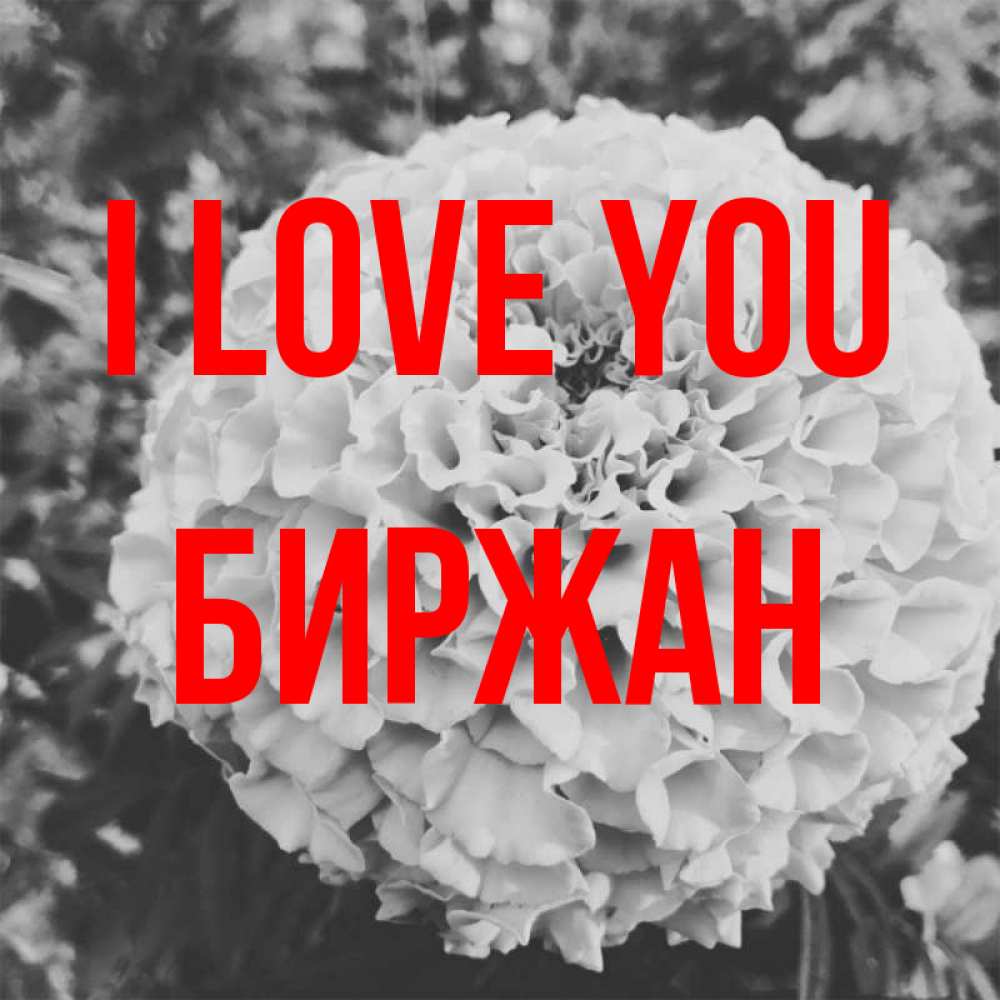 Greetings card с именем, Биржан I love you подпись Greetings with text for free download 