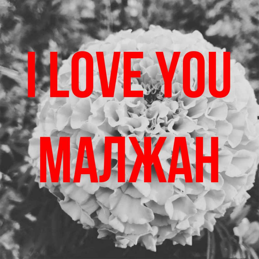 Greetings card с именем, МАЛЖАН I love you подпись Greetings with text for free download 