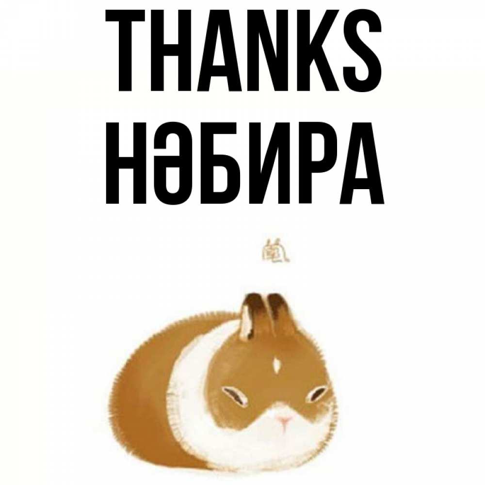 Greetings card с именем, НӘБИРА Thanks коричнево белый домашний питомец Greetings with text for free download 