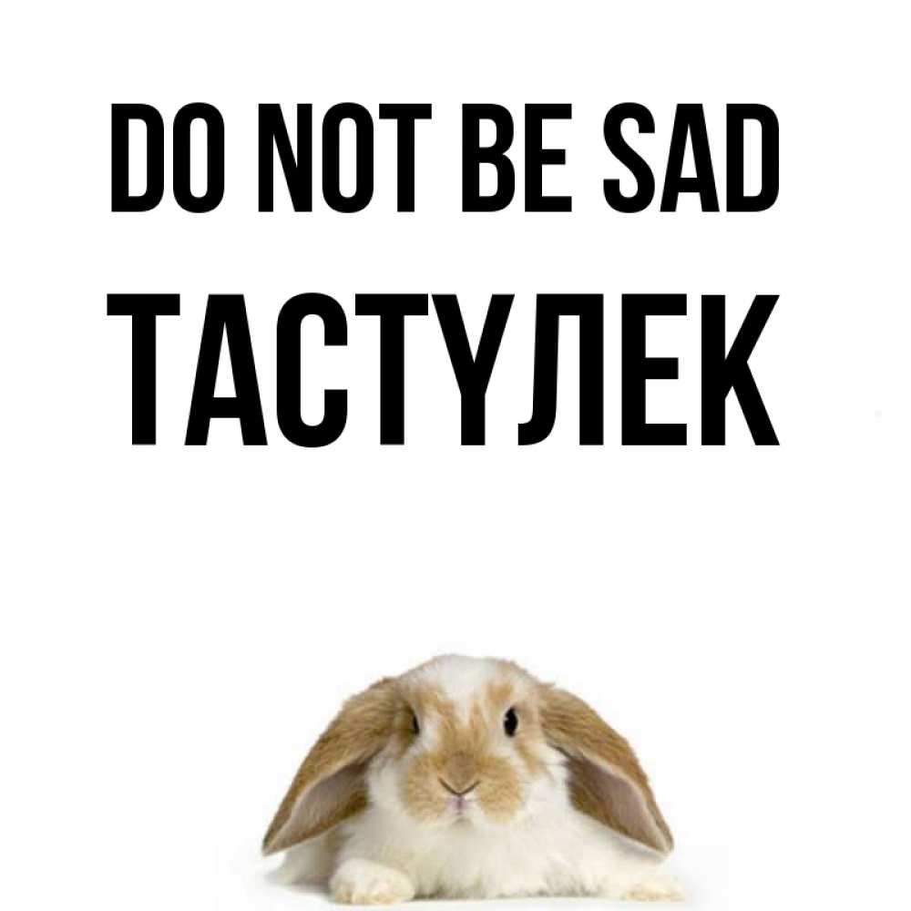 Greetings card с именем, ТАСТҮЛЕК Do not be sad коричнево белый заяц с большими ушками Greetings with text for free download 