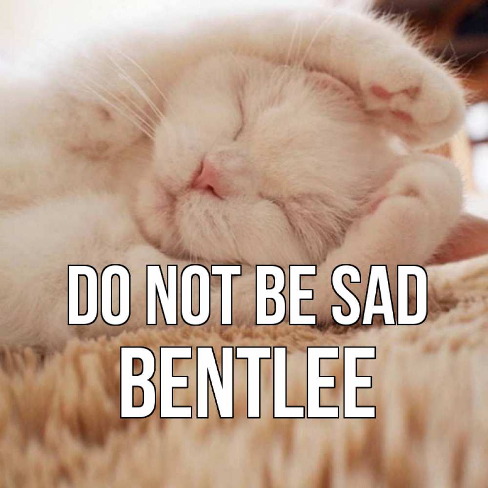 Greetings card с именем, Bentlee Do not be sad белый кот Greetings with text for free download 