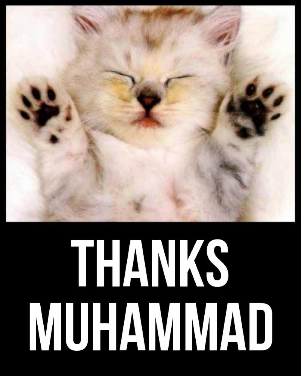 Greetings card с именем, Muhammad Thanks маленький котенок Greetings with text for free download 