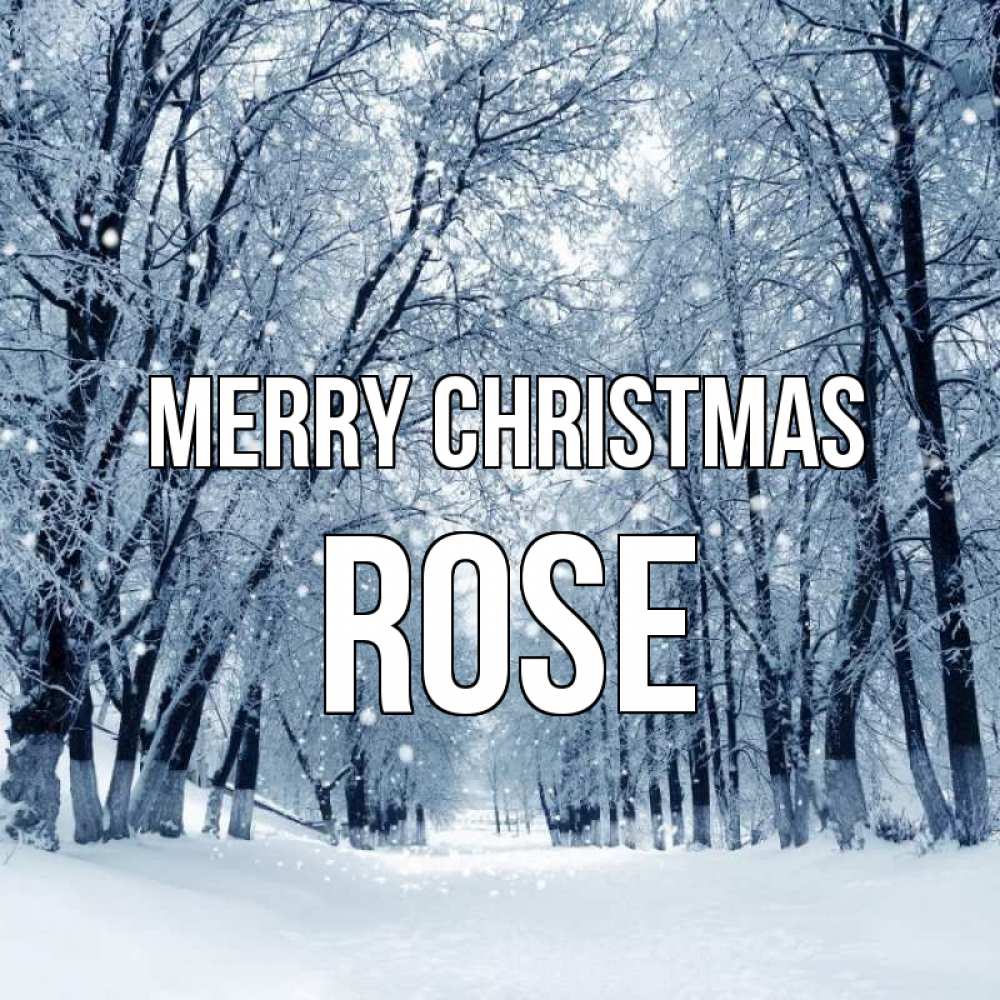 Greetings card с именем, Rose Merry Christmas снег, лес, парк Greetings with text for free download 