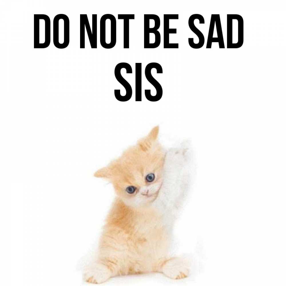Greetings card с именем, sis Do not be sad просящий кот Greetings with text for free download 