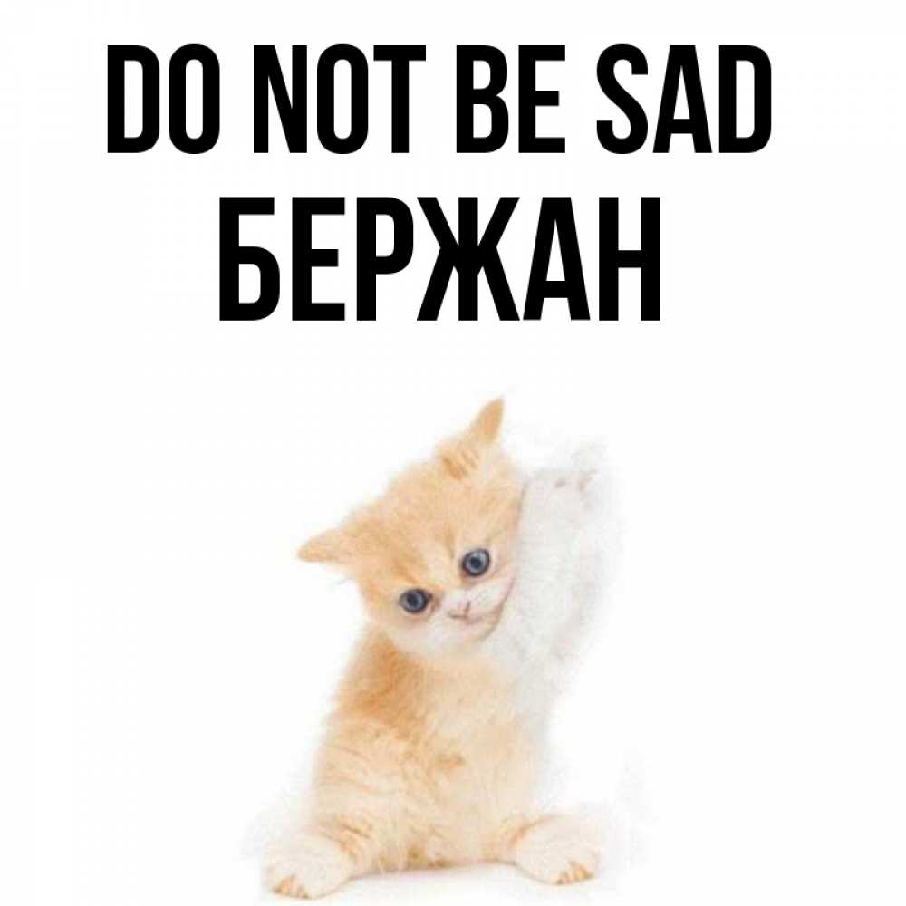 Greetings card с именем, Бержан Do not be sad просящий кот Greetings with text for free download 