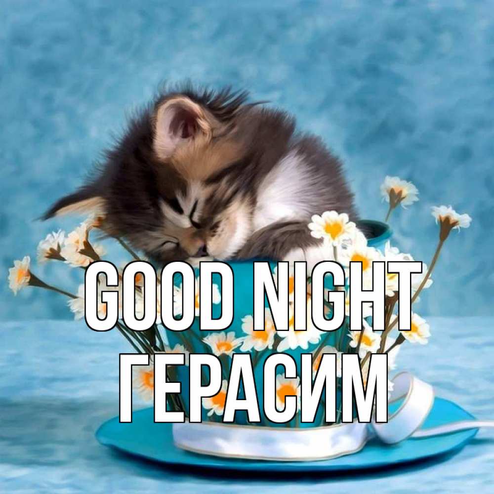 Greetings card с именем, Герасим Good night котенок спит в кружке с блюдцем Greetings with text for free download 