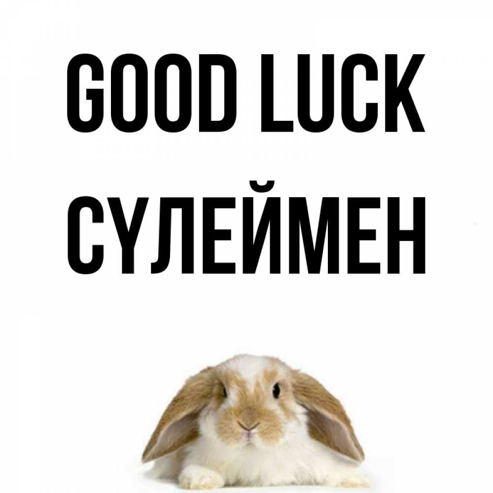 Greetings card с именем, СҮЛЕЙМЕН Good luck открытки с произвольным текстом который можно вставить в открытку и создать ее самостоятельно бесплатно онлайн Greetings with text for free download 