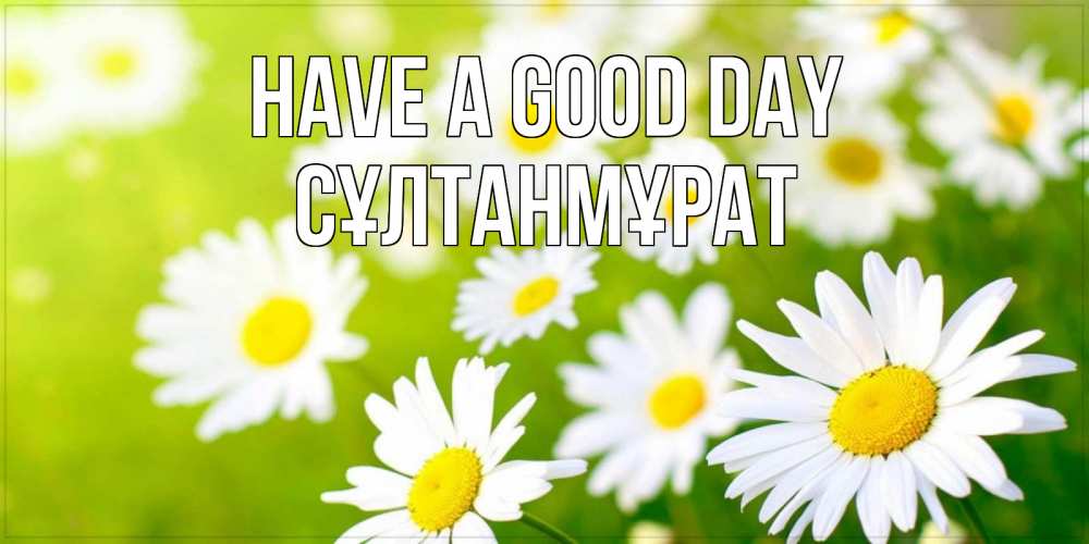 Greetings card с именем, СҰЛТАНМҰРАТ Have a good day открытка с ромашками на зеленом фоне Greetings with text for free download 