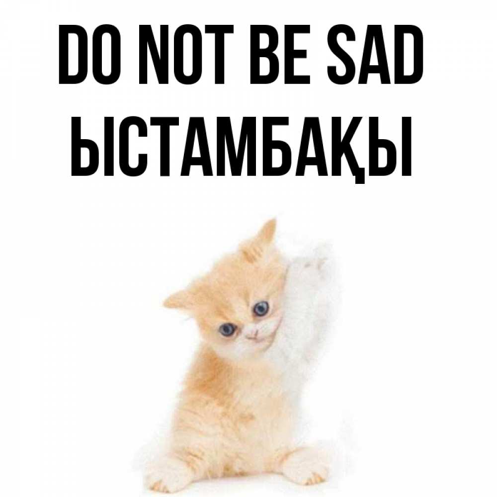 Greetings card с именем, ЫСТАМБАҚЫ Do not be sad просящий кот Greetings with text for free download 