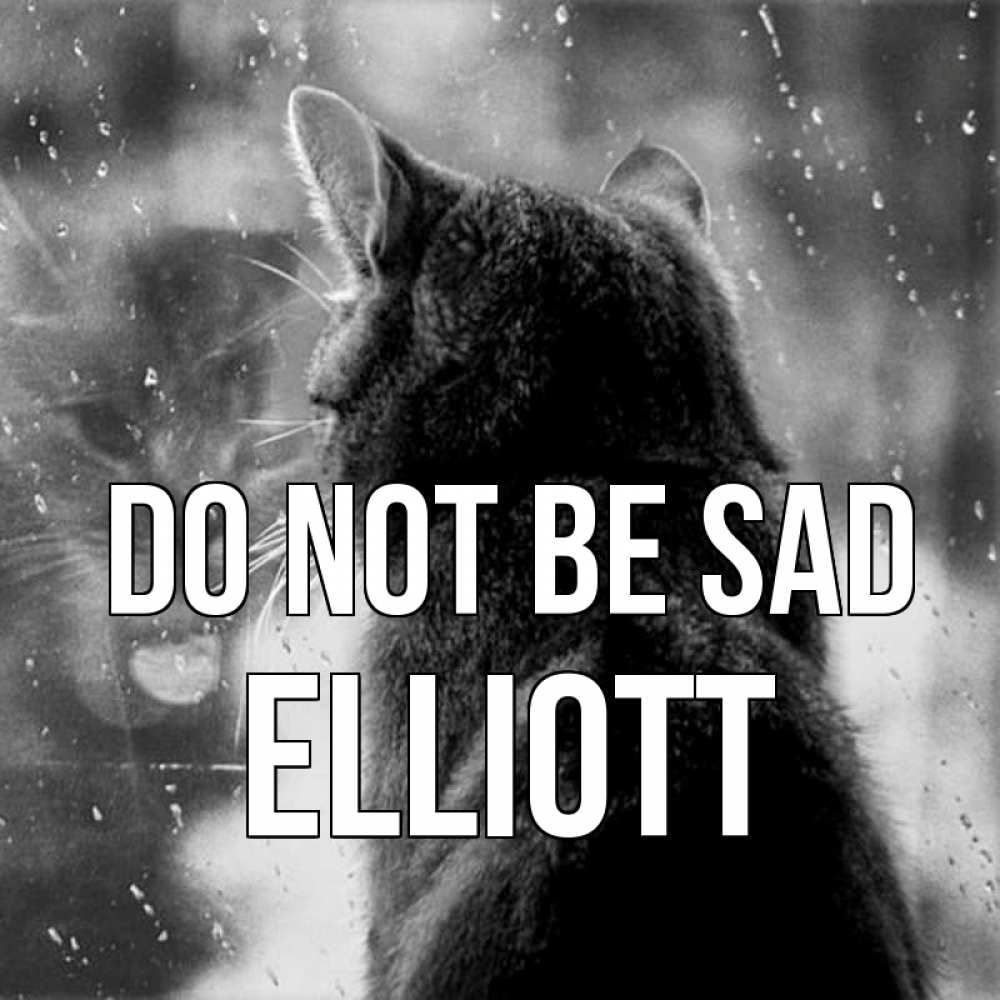 Greetings card с именем, Elliott Do not be sad отражение кота 1 Greetings with text for free download 
