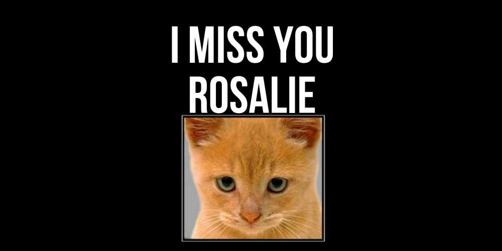 Greetings card с именем, Rosalie I miss you открытки рыжий котенок скучает по тебе Greetings with text for free download 