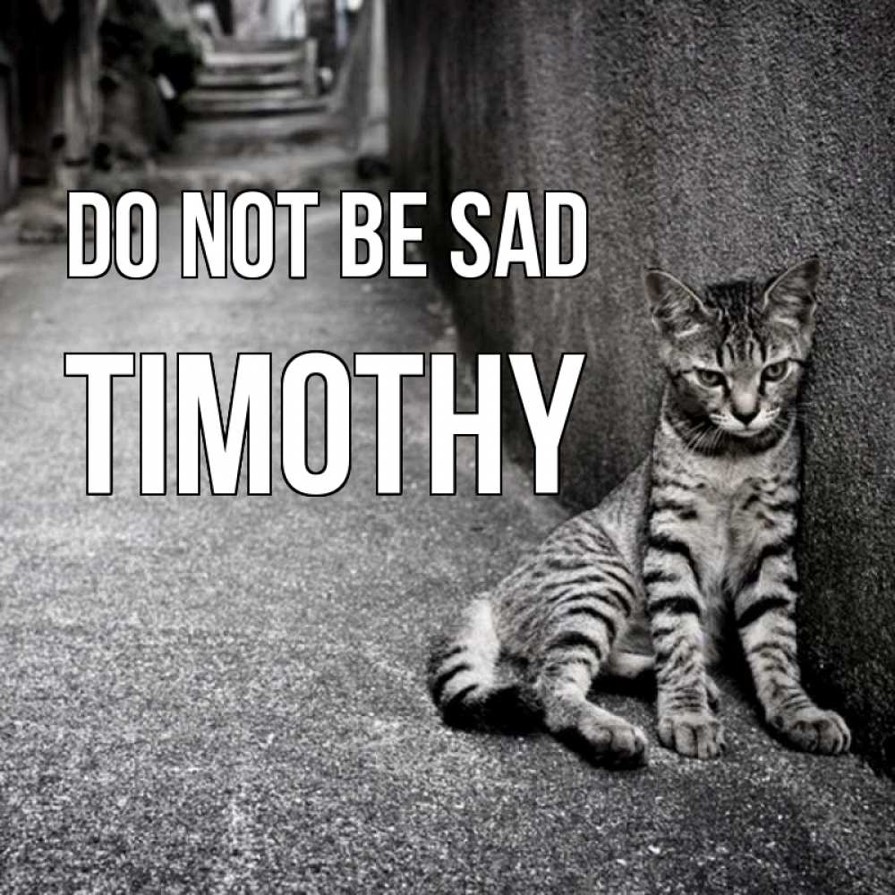 Greetings card с именем, Timothy Do not be sad скучающий котик Greetings with text for free download 