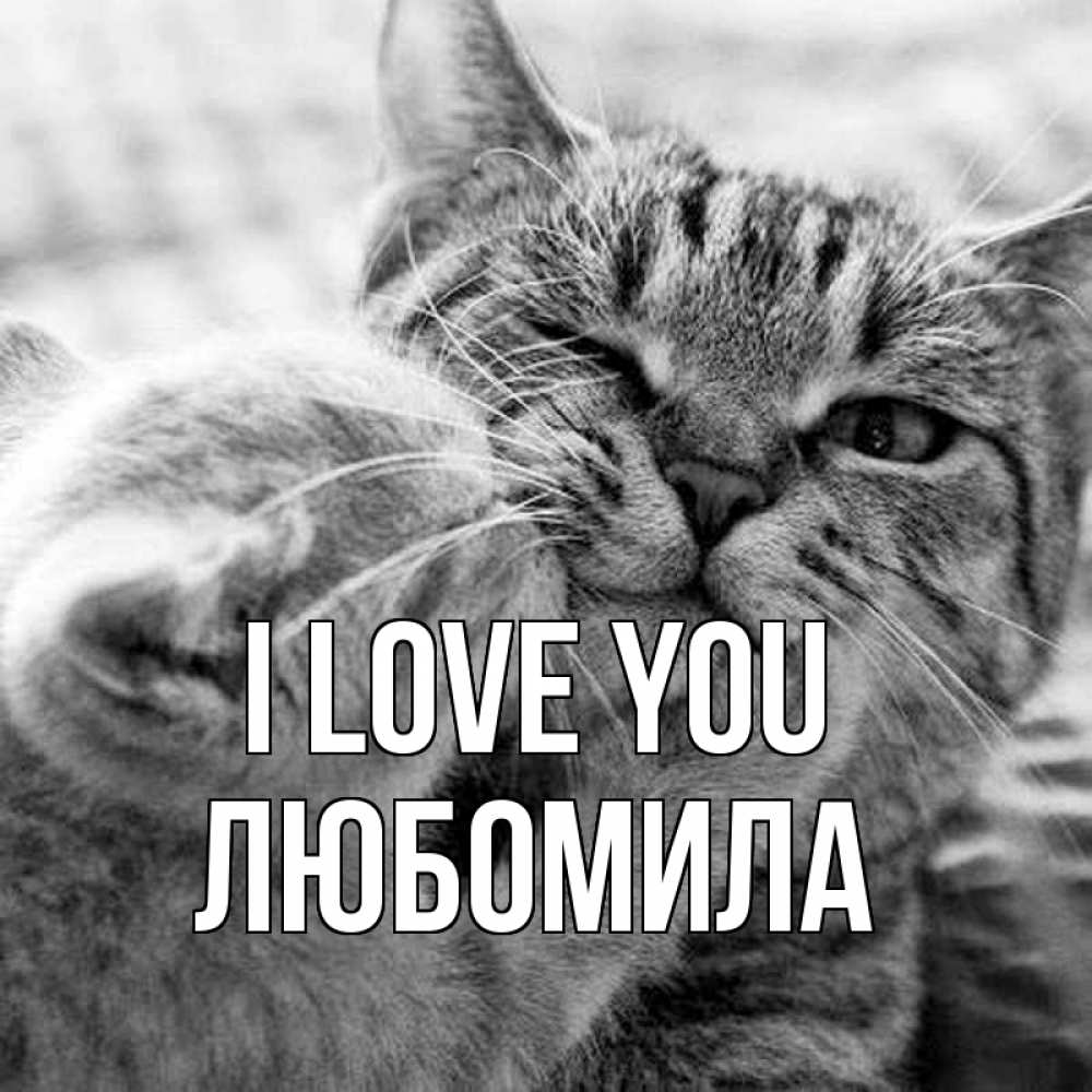 Greetings card с именем, Любомила I love you коты Greetings with text for free download 