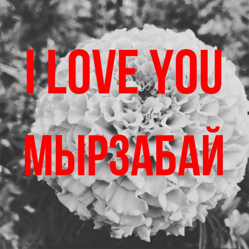 Greetings card с именем, Мырзабай I love you подпись Greetings with text for free download 
