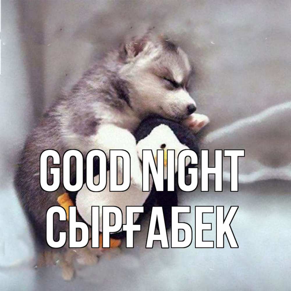 Greetings card с именем, СЫРҒАБЕК Good night обнимашки щенка и пингвина Greetings with text for free download 
