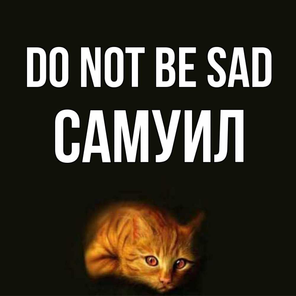 Greetings card с именем, Самуил Do not be sad лежащий кот в темноте Greetings with text for free download 