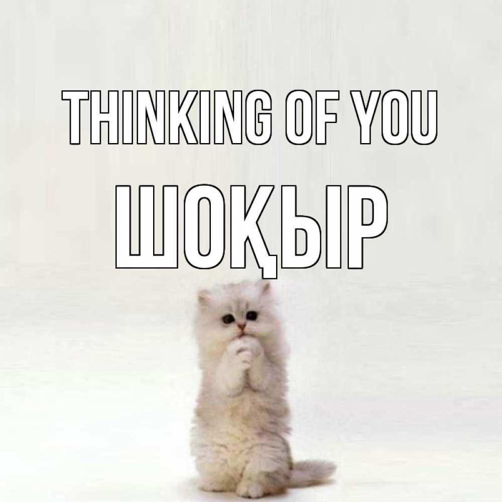 Greetings card с именем, ШОҚЫР Thinking of you кот стоит на задних лапах Greetings with text for free download 