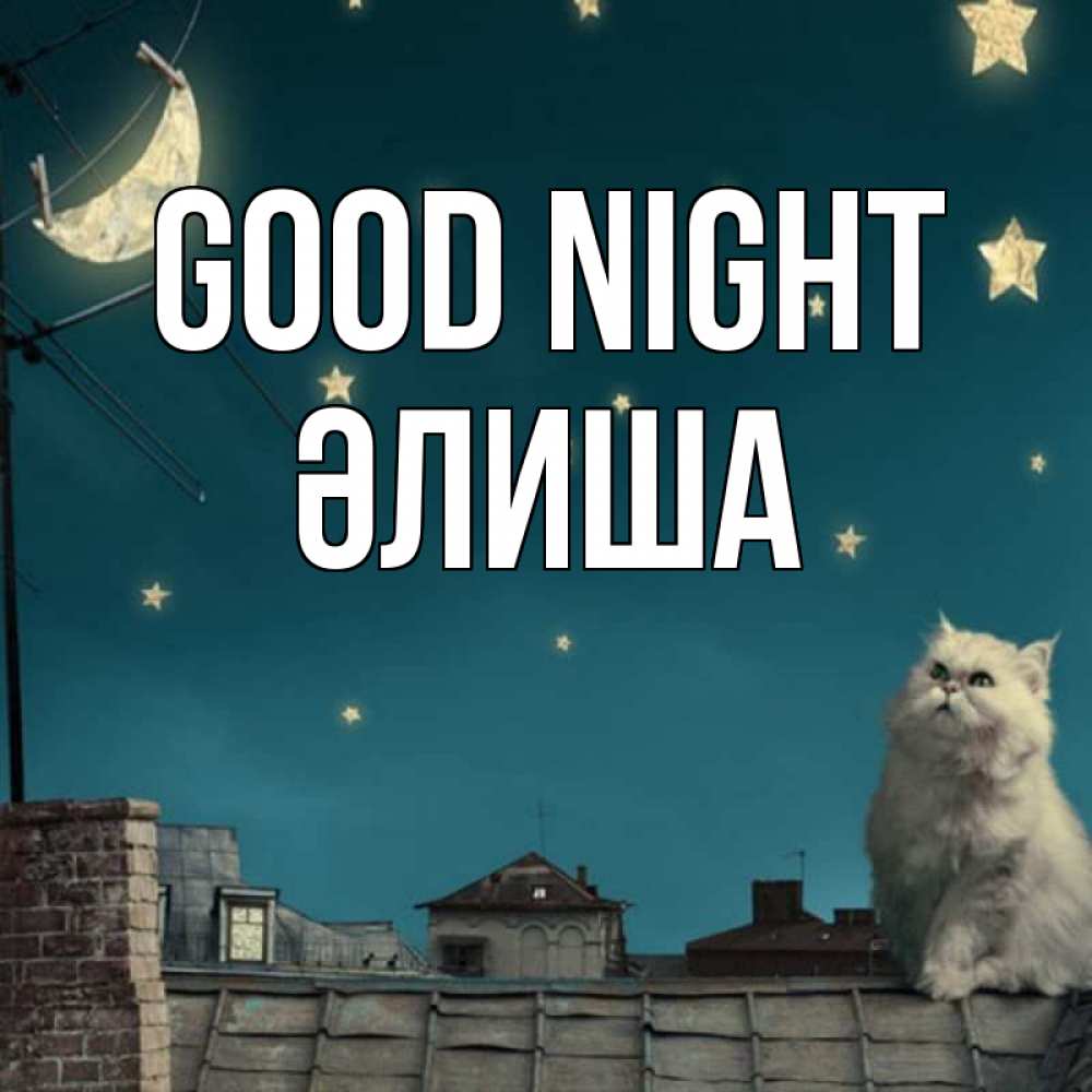 Greetings card с именем, ӘЛИША Good night белый кот сидит на крыше Greetings with text for free download 