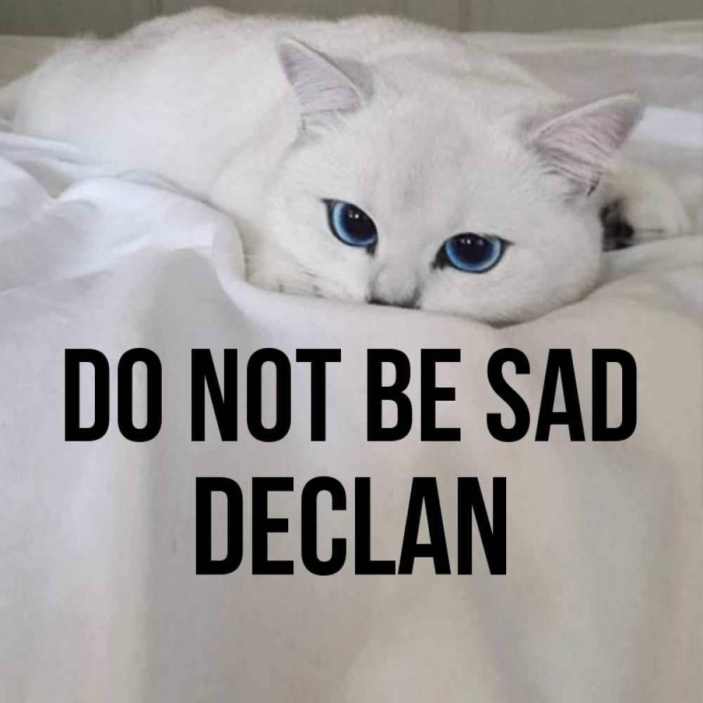 Greetings card с именем, Declan Do not be sad Голубоглазая кошка Greetings with text for free download 