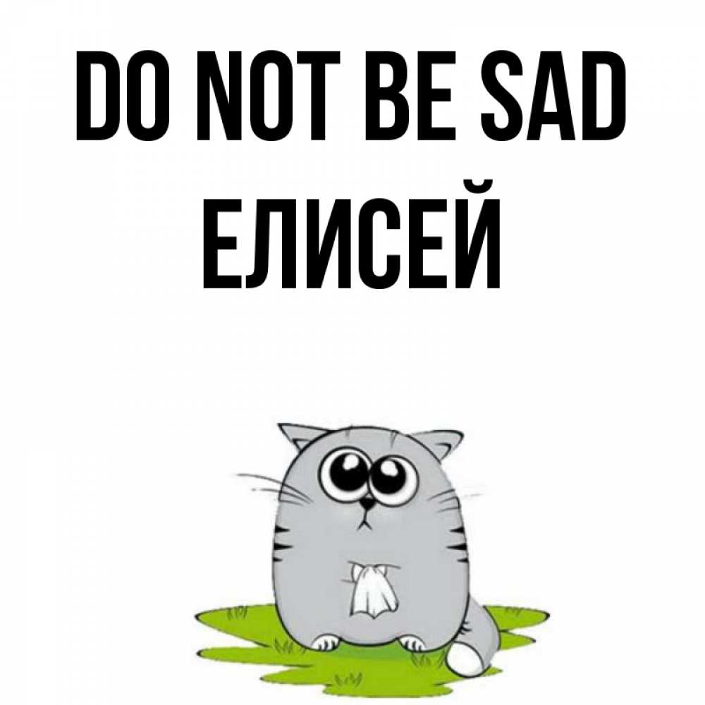 Greetings card с именем, Елисей Do not be sad грустный котяра Greetings with text for free download 