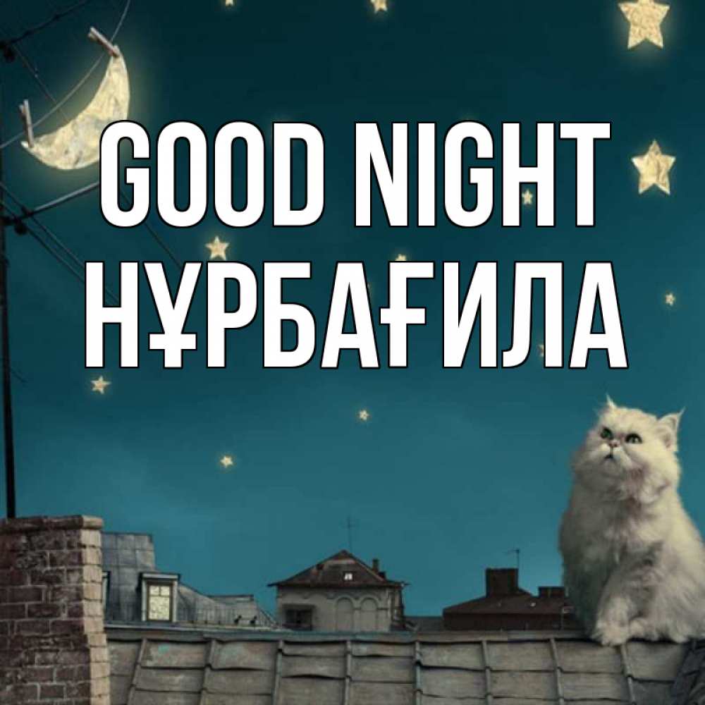 Greetings card с именем, НҰРБАҒИЛА Good night белый кот сидит на крыше Greetings with text for free download 