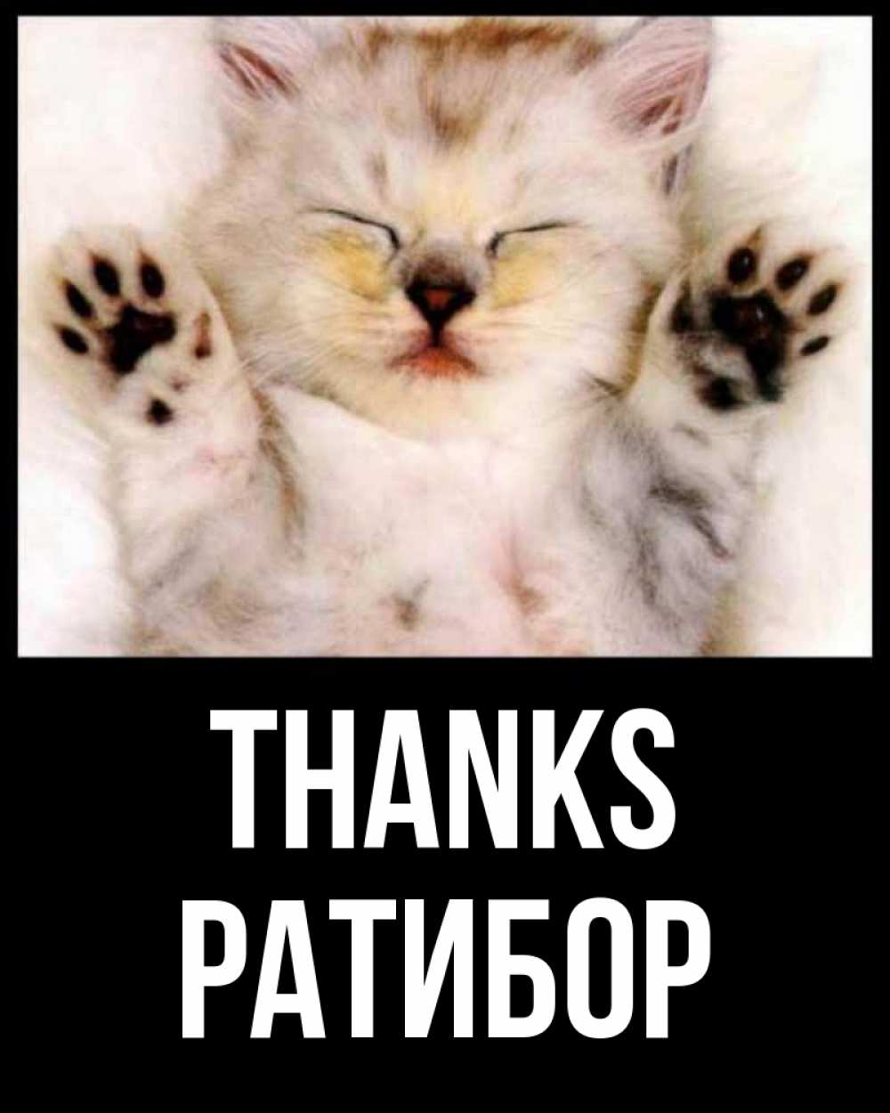 Greetings card с именем, Ратибор Thanks маленький котенок Greetings with text for free download 