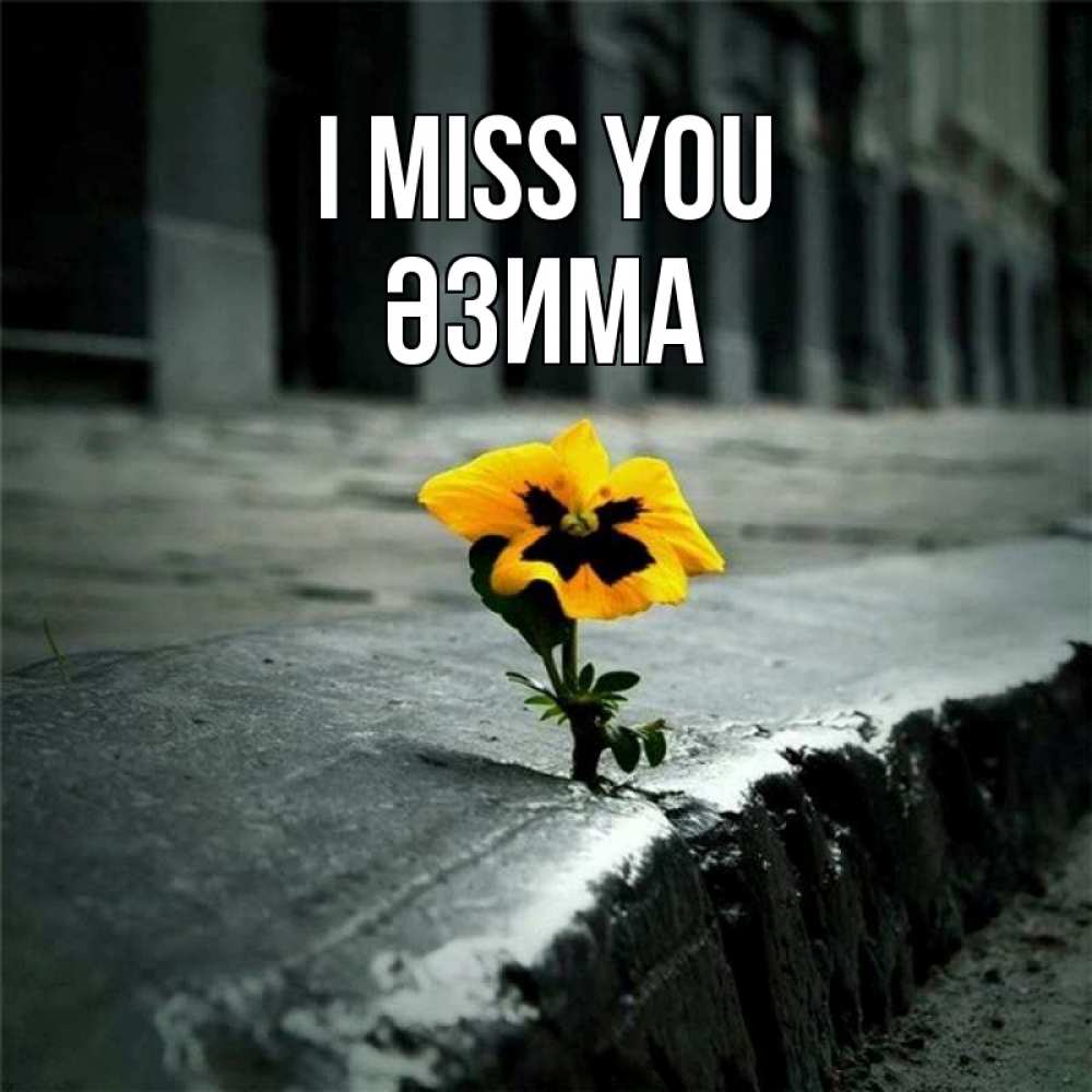 Greetings card с именем, ӘЗИМА I miss you надеюсь будет лучше Greetings with text for free download 