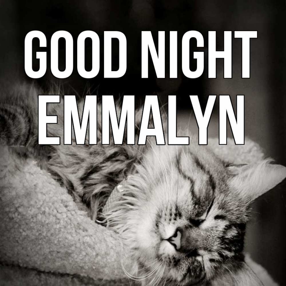Greetings card с именем, Emmalyn Good night котярик пушистый Greetings with text for free download 