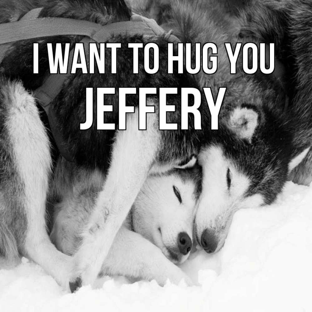 Greetings card с именем, Jeffery I want to hug you собачки в упряжке Greetings with text for free download 