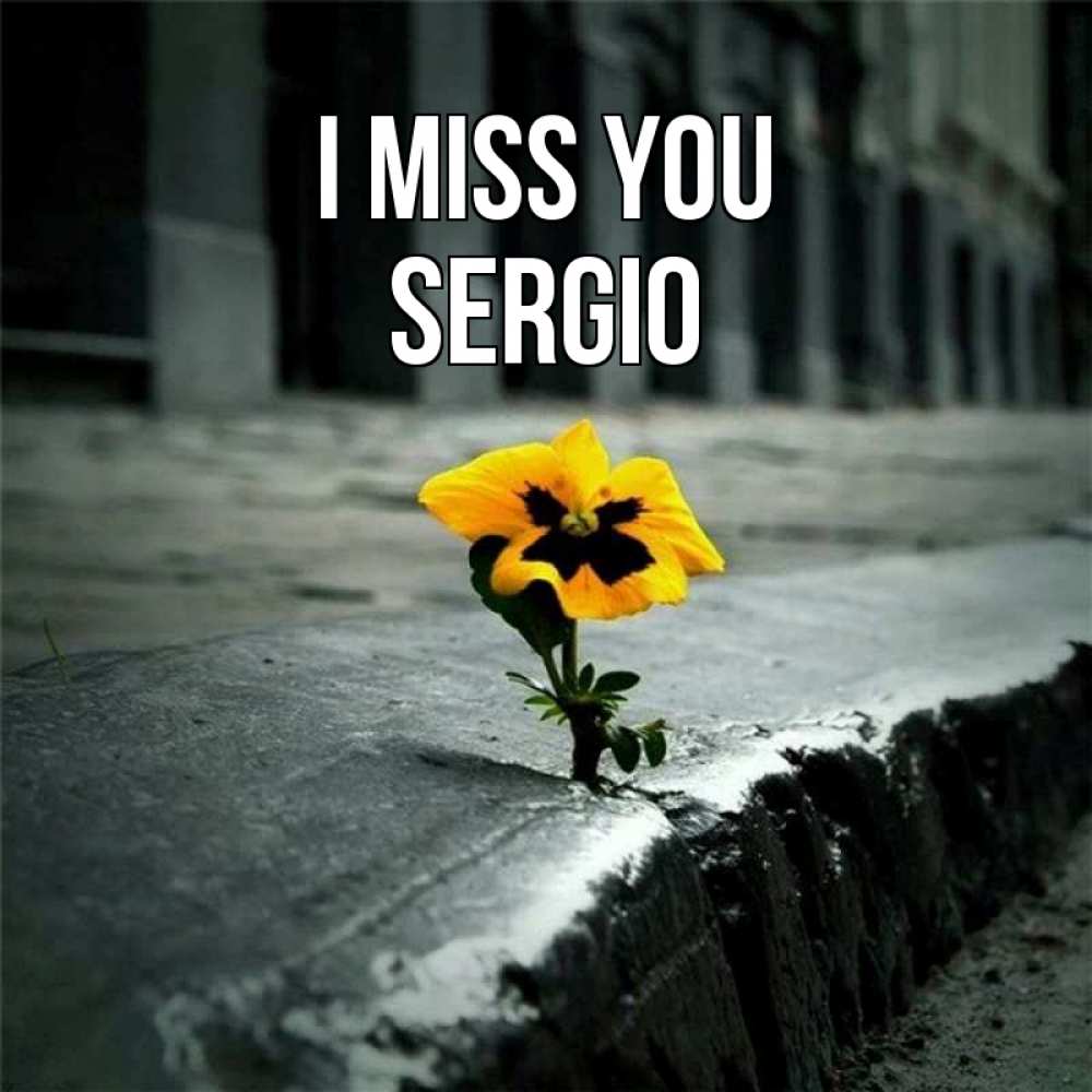 Greetings card с именем, Sergio I miss you надеюсь будет лучше Greetings with text for free download 