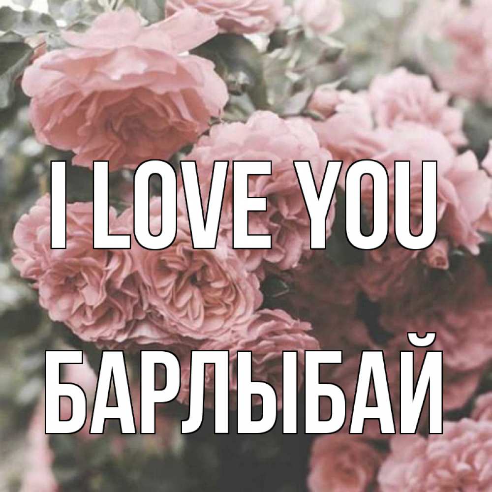 Greetings card с именем, Барлыбай I love you розы 3 Greetings with text for free download 