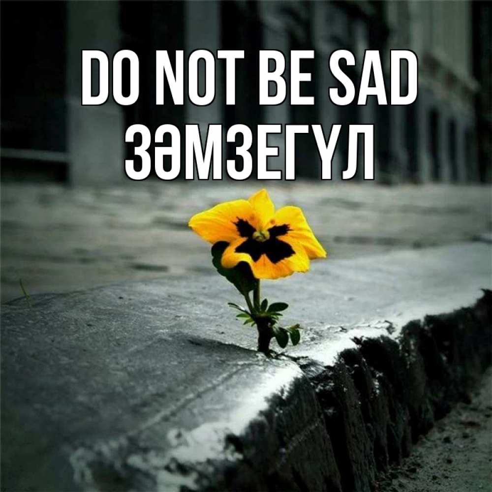 Greetings card с именем, ЗӘМЗЕГҮЛ Do not be sad не сдавайся Greetings with text for free download 