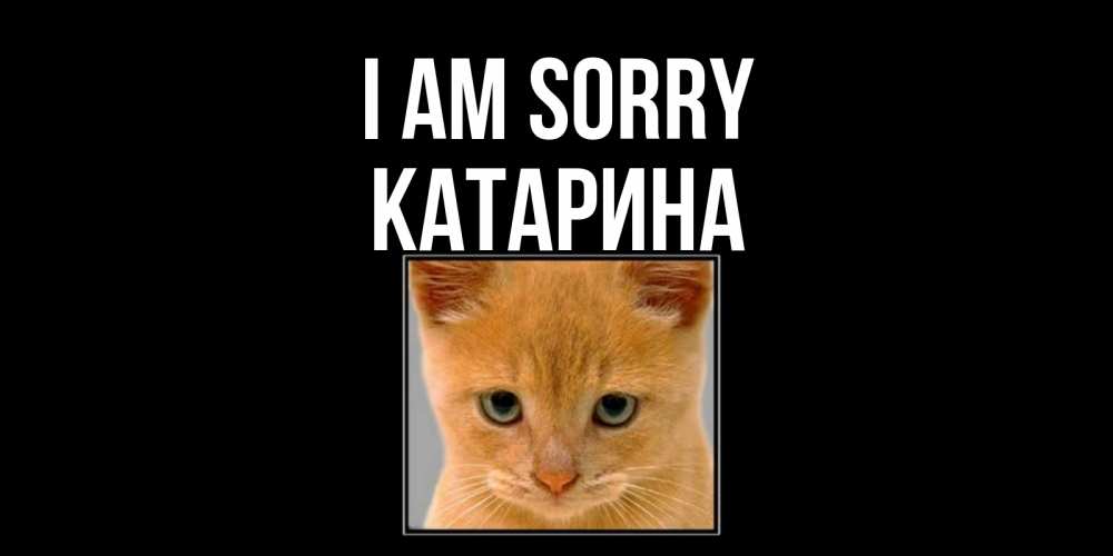 Greetings card с именем, Катарина I am sorry рыжий грустный кот просит прощения Greetings with text for free download 