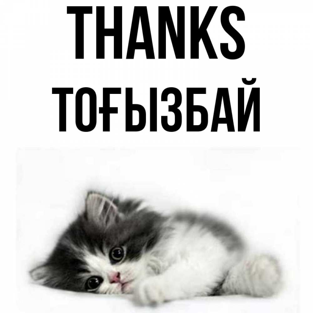 Greetings card с именем, ТОҒЫЗБАЙ Thanks черный и белый кот Greetings with text for free download 