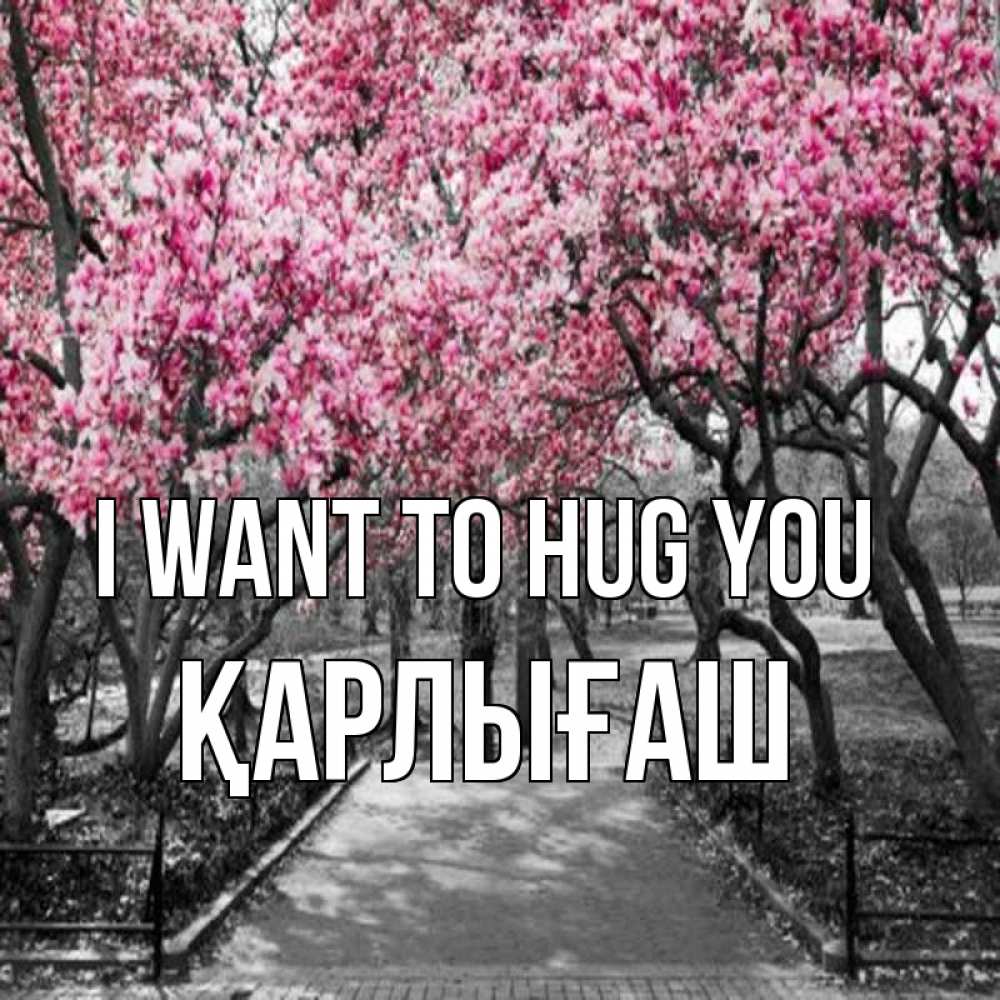 Greetings card с именем, ҚАРЛЫҒАШ I want to hug you обработанное фото Greetings with text for free download 