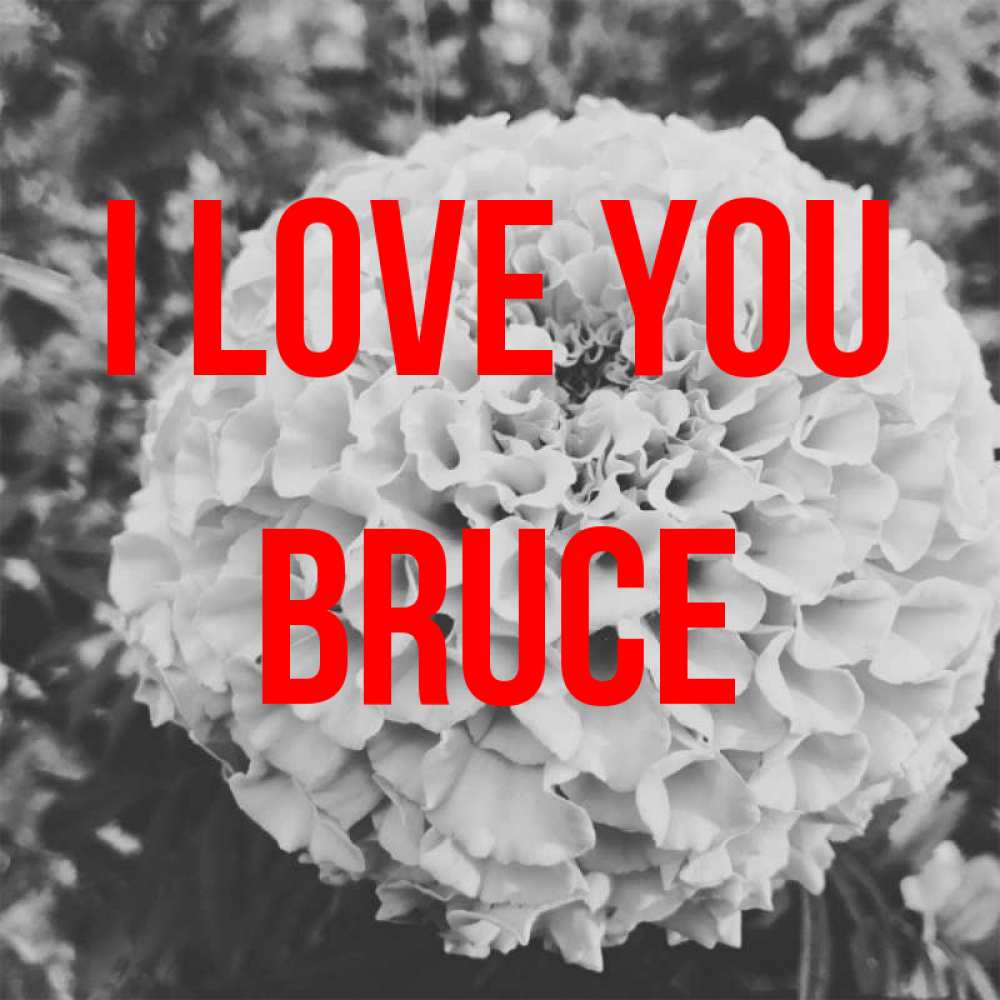 Greetings card с именем, Bruce I love you подпись Greetings with text for free download 