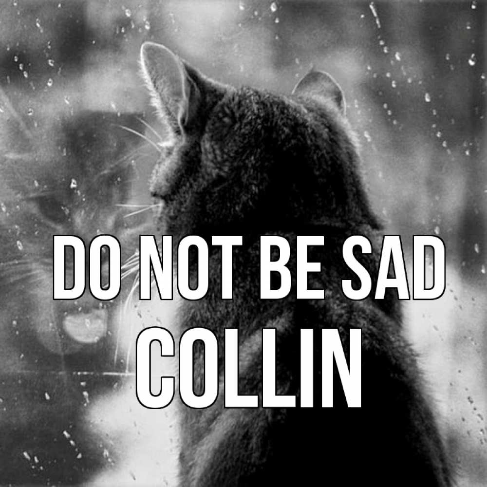 Greetings card с именем, Collin Do not be sad отражение кота 1 Greetings with text for free download 