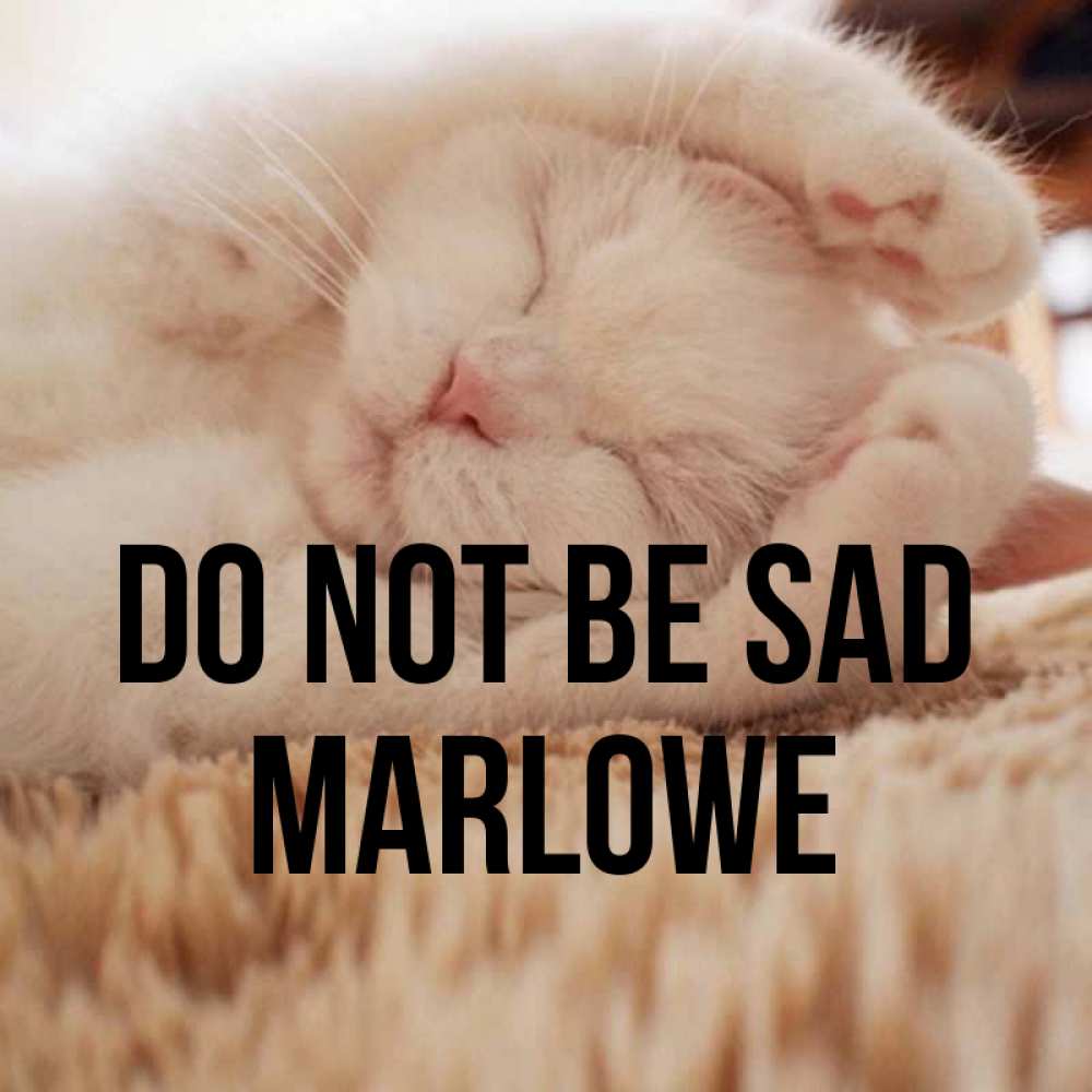 Greetings card с именем, Marlowe Do not be sad Котенок спит Greetings with text for free download 