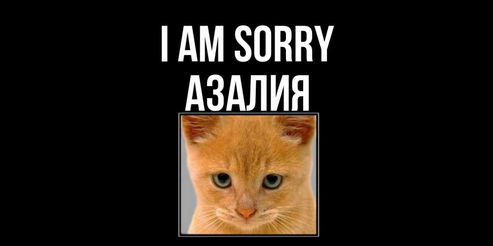 Greetings card с именем, Азалия I am sorry рыжий грустный кот просит прощения Greetings with text for free download 