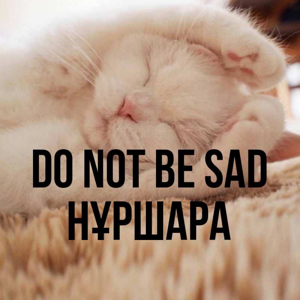 Greetings card с именем, НҰРШАРА Do not be sad Котенок спит Greetings with text for free download 