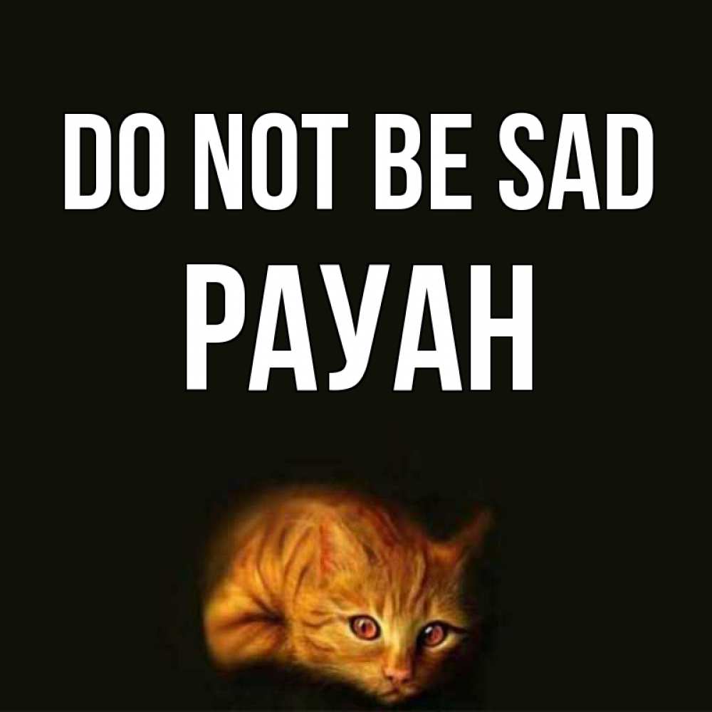 Greetings card с именем, РАУАН Do not be sad лежащий кот в темноте Greetings with text for free download 