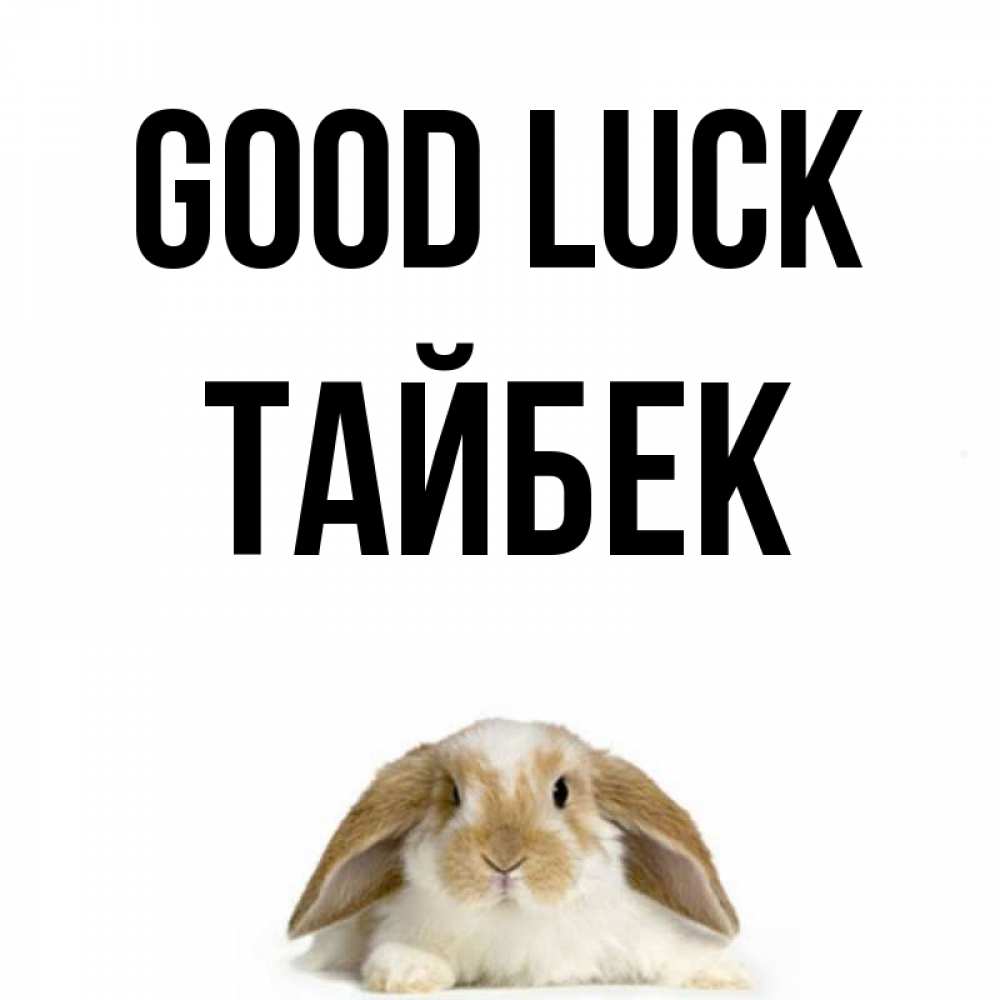 Greetings card с именем, ТАЙБЕК Good luck открытки с произвольным текстом который можно вставить в открытку и создать ее самостоятельно бесплатно онлайн Greetings with text for free download 
